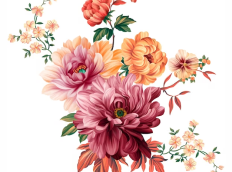Text To Image